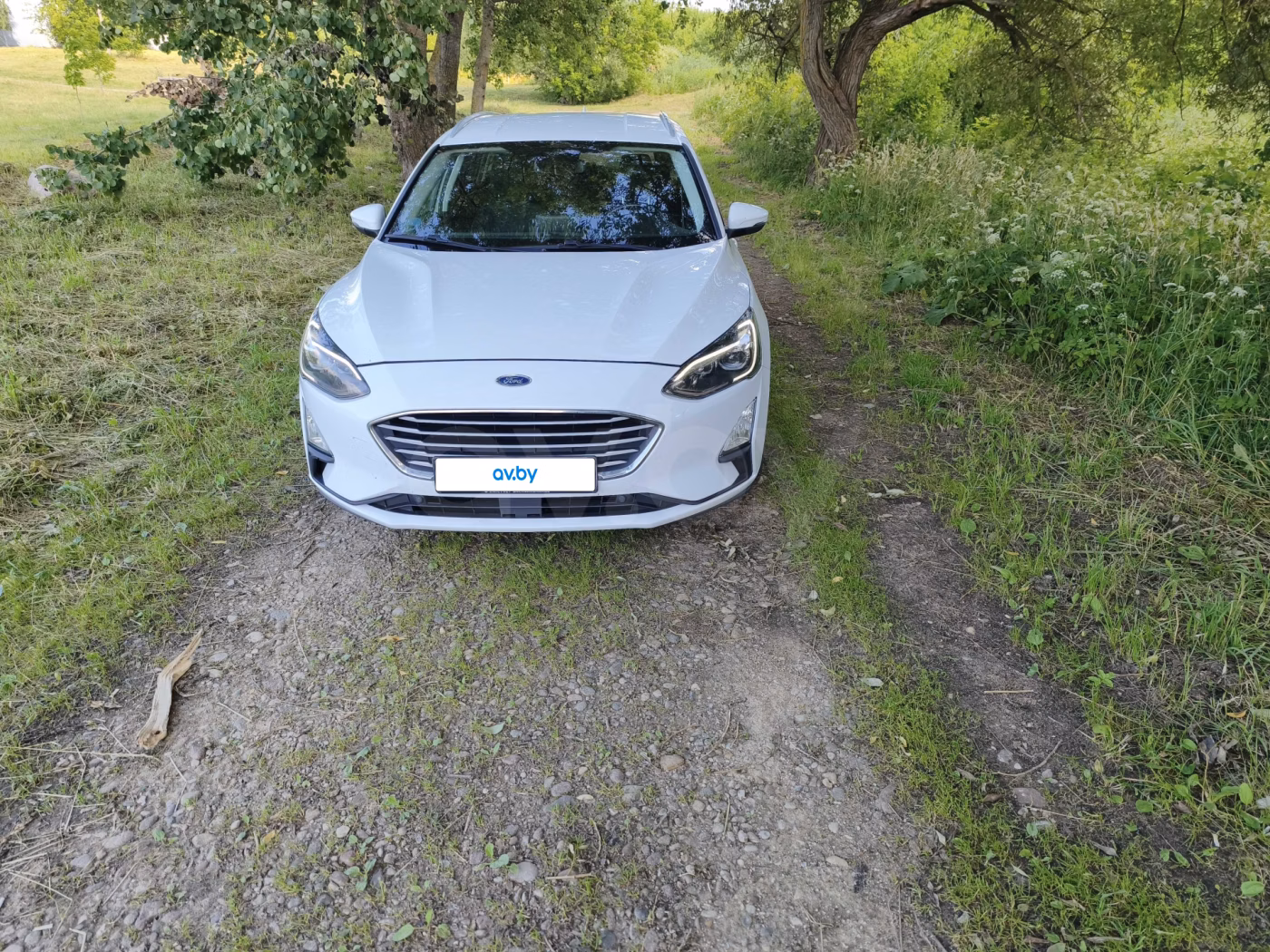 Ford Focus фото 3