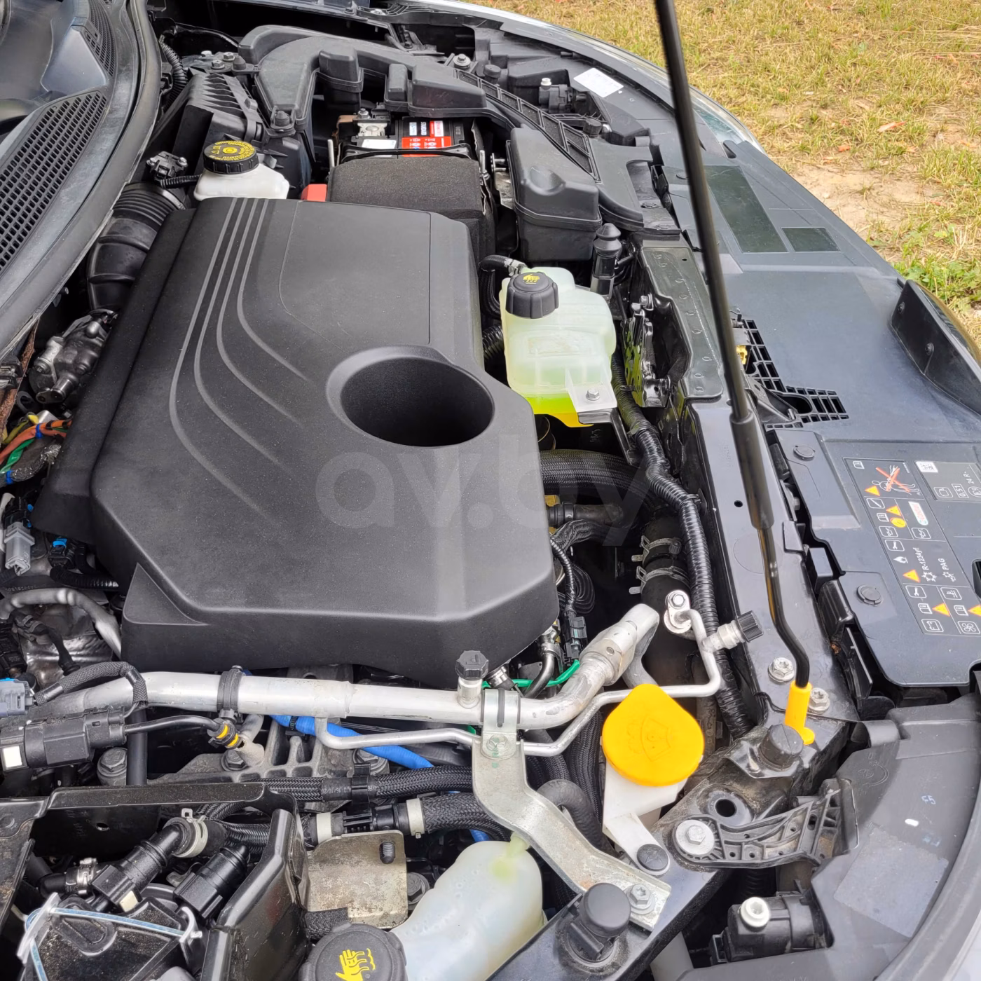 Renault Kadjar фото 29