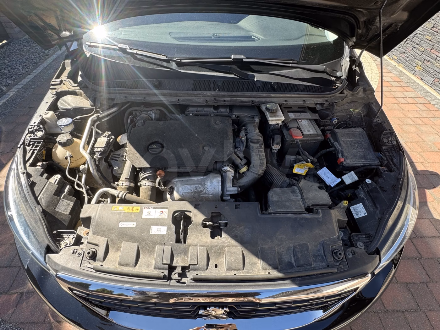 Peugeot 308 фото 14