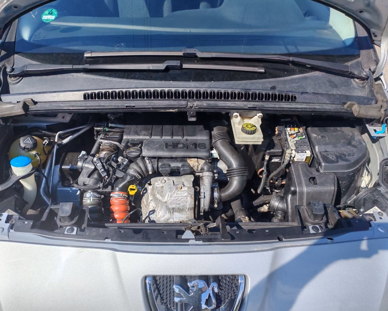 Peugeot 5008 фото 21