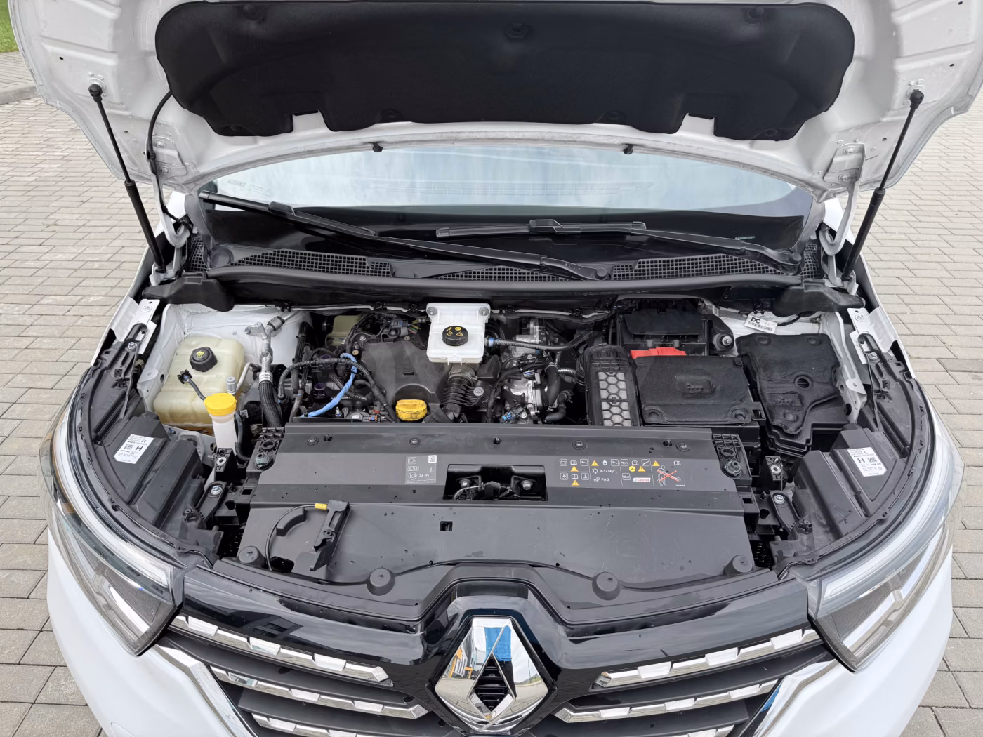 Renault Kangoo фото 11