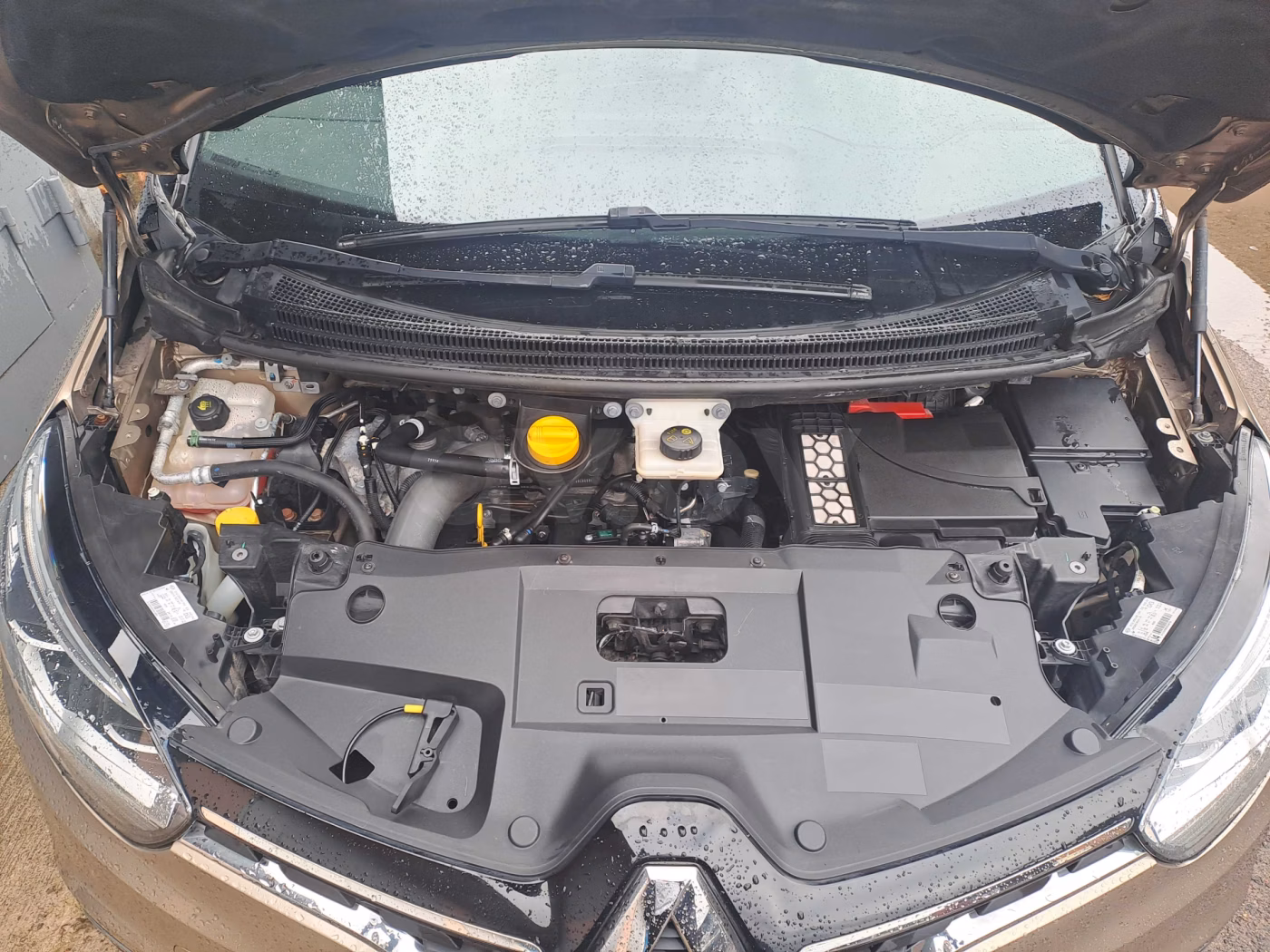 Renault Grand Scenic фото 28
