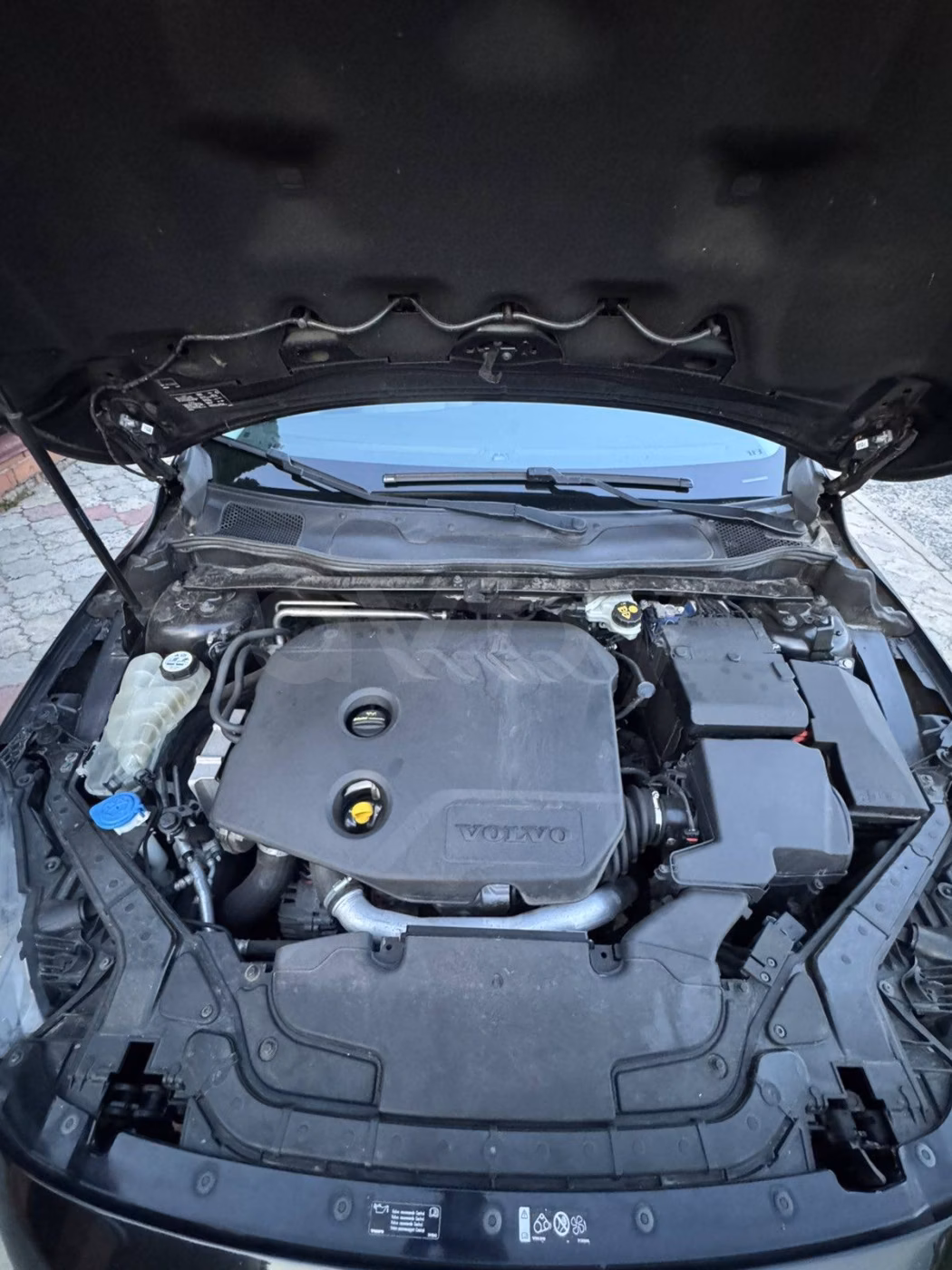 Volvo V40 фото 9