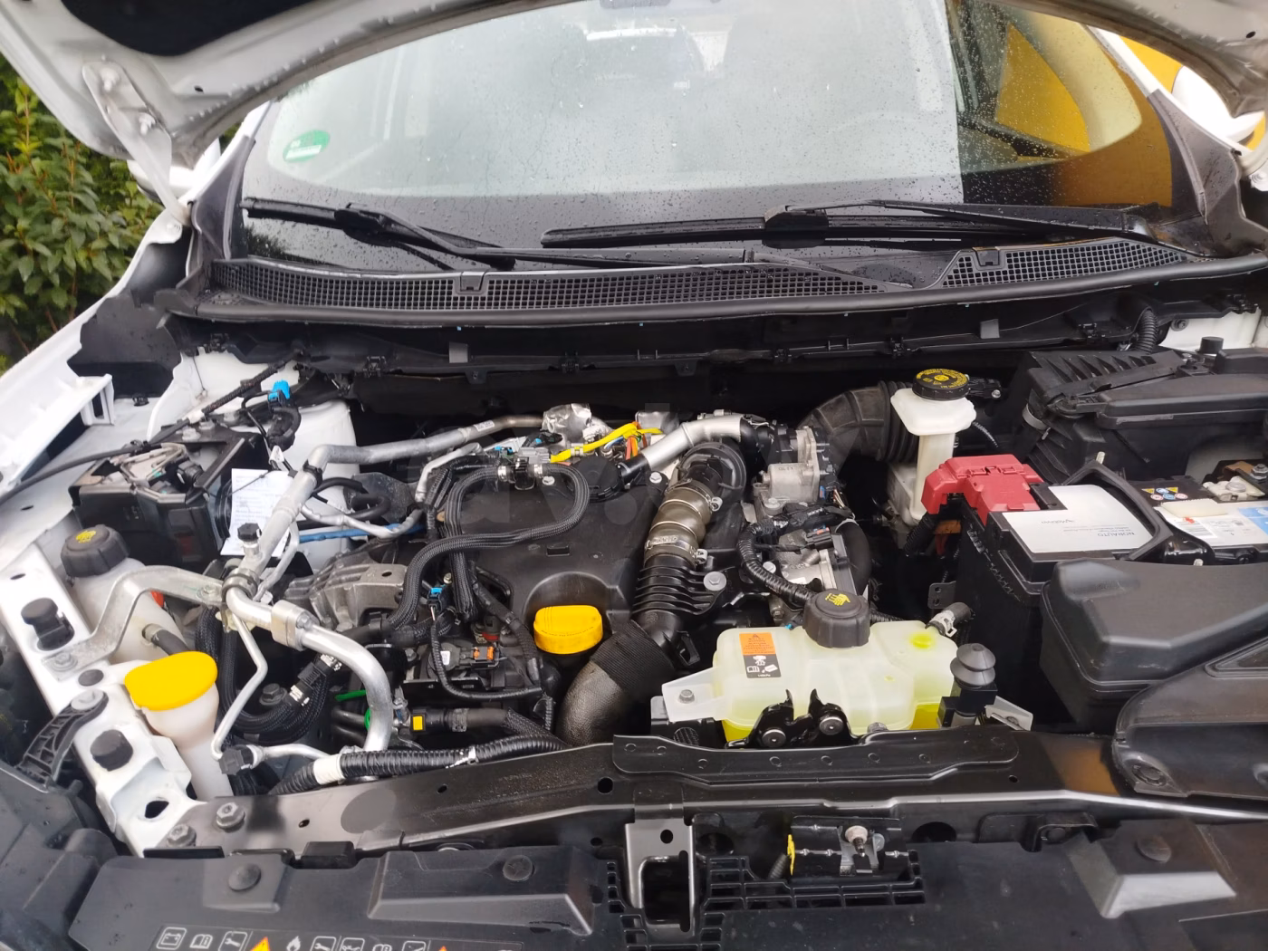 Renault Kadjar фото 5