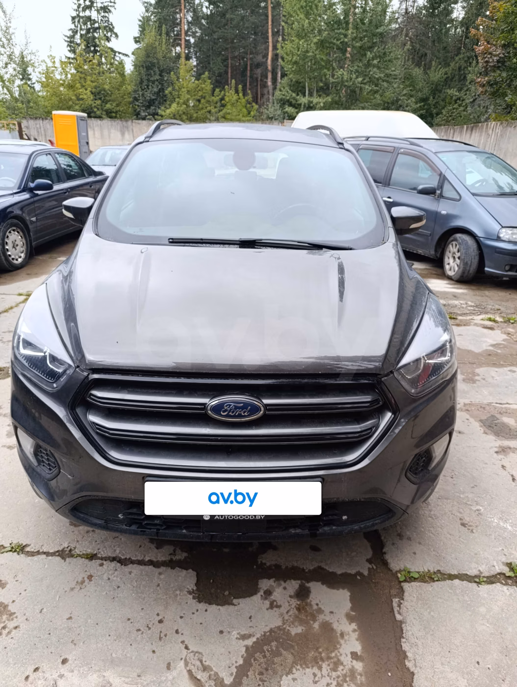Ford Kuga
