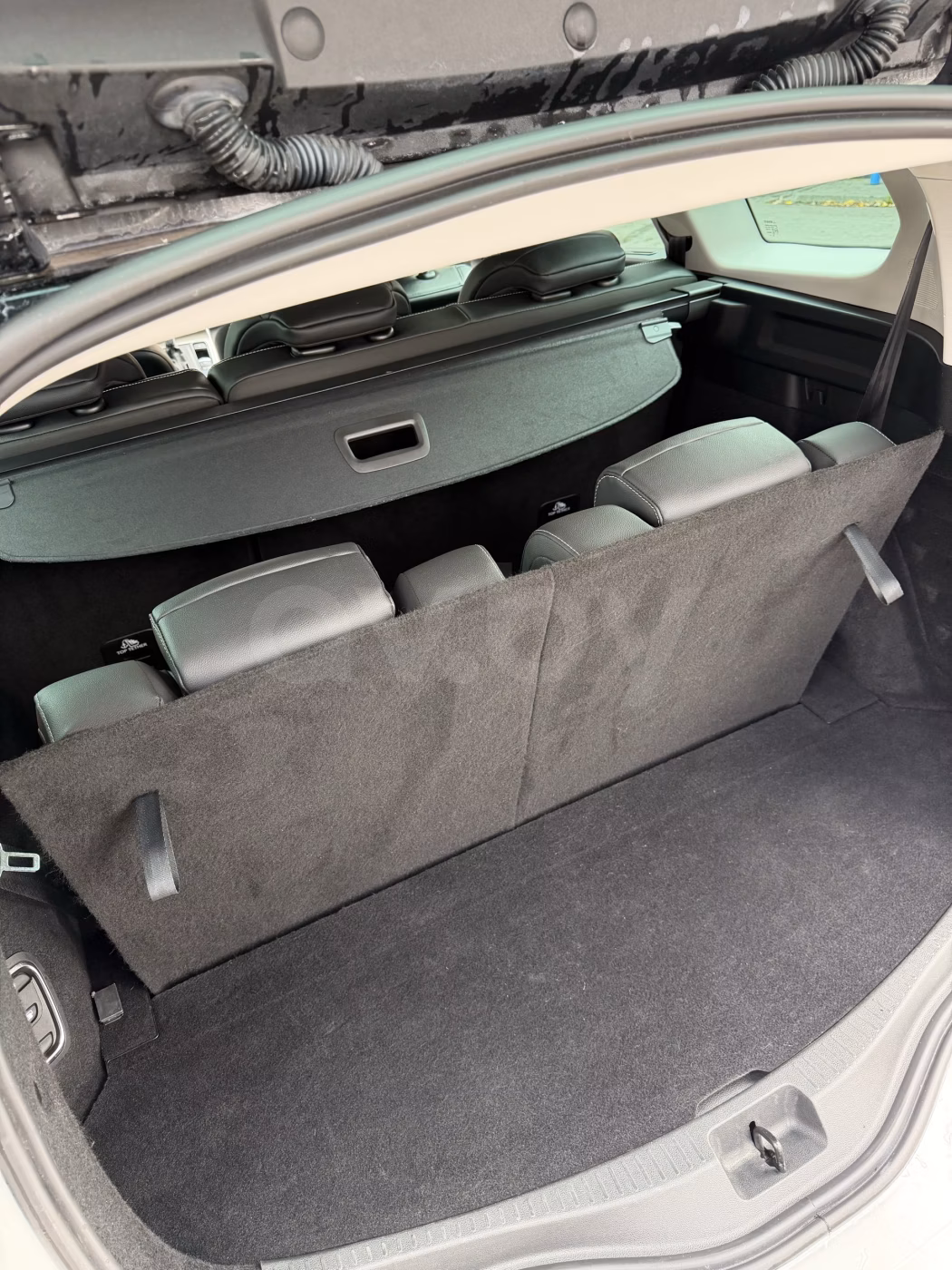 Renault Grand Scenic фото 9