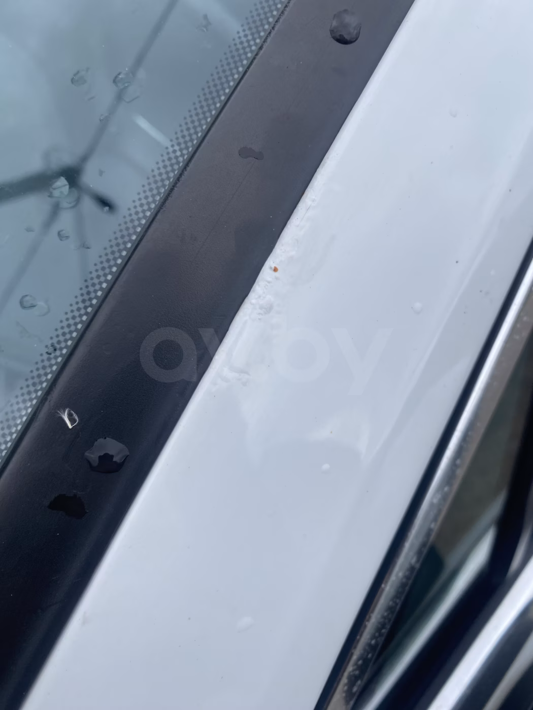 Volkswagen Tiguan фото 9
