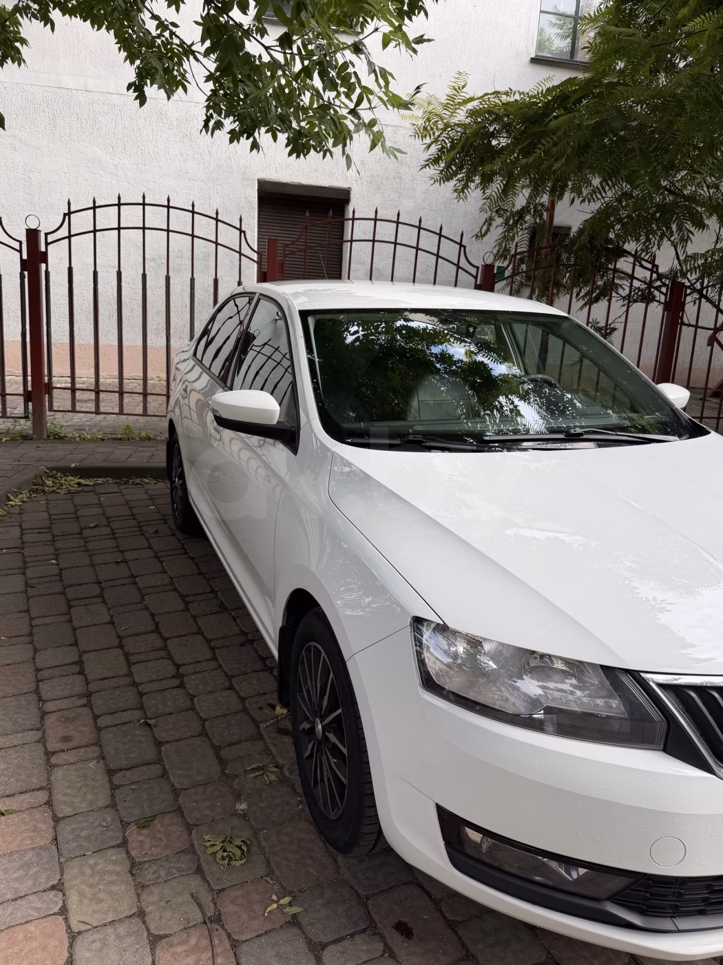 Skoda Rapid фото 5