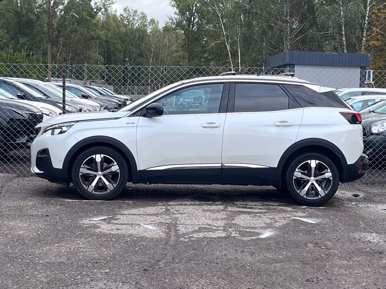 Peugeot 3008 фото 5