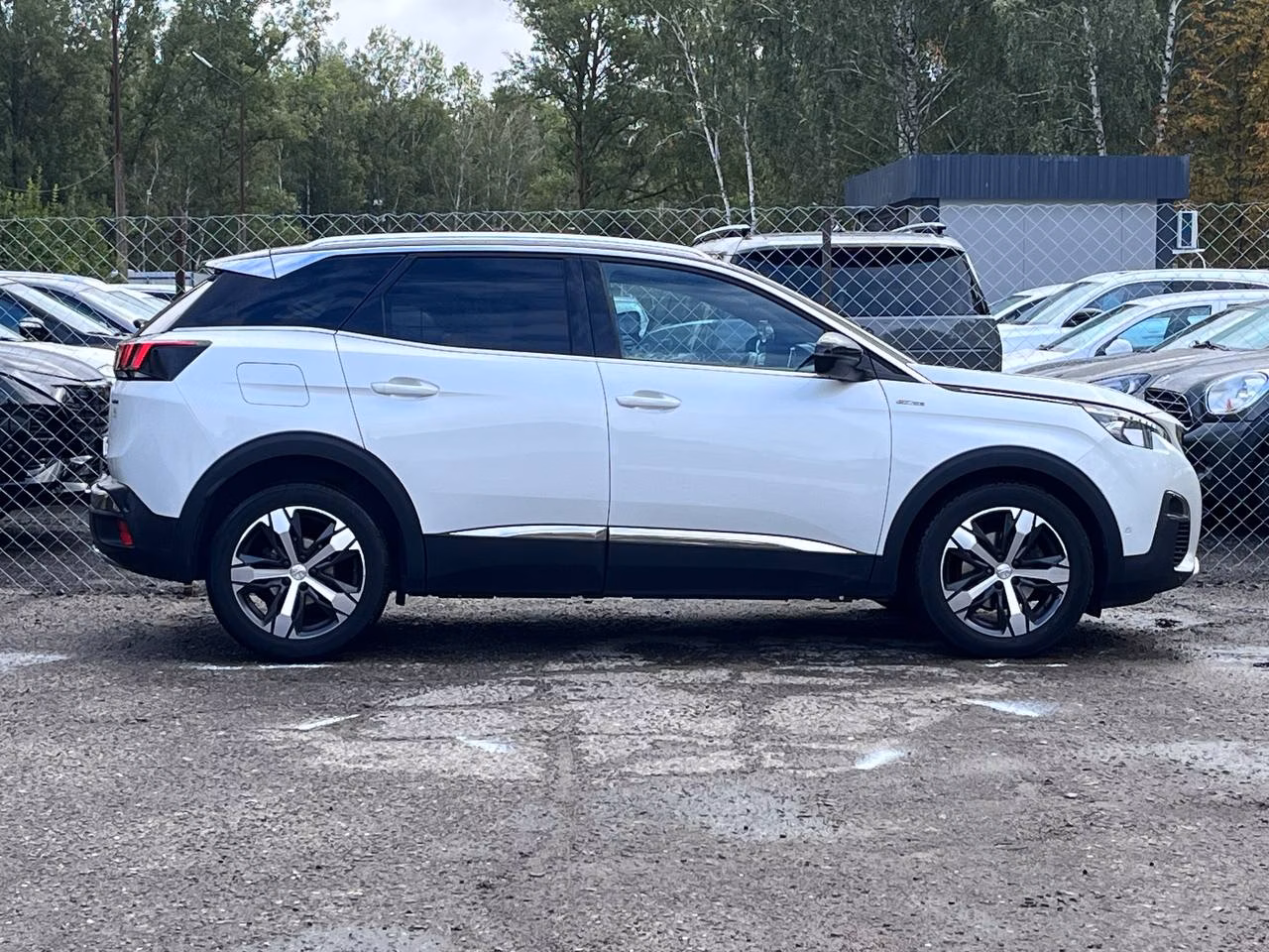 Peugeot 3008 фото 6