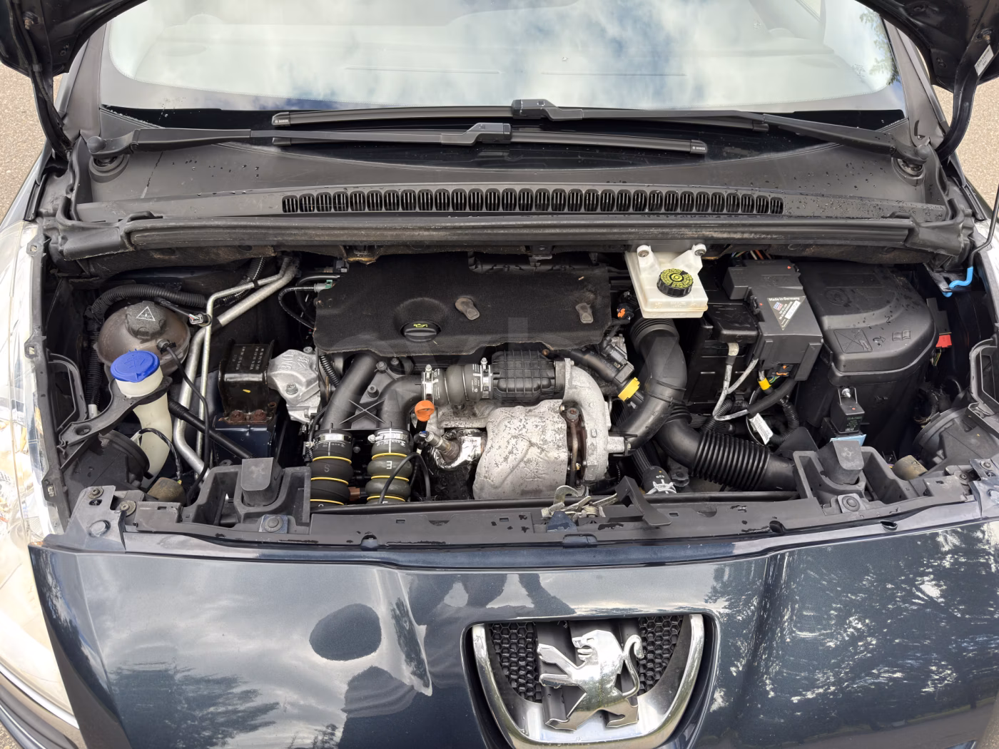 Peugeot 5008 фото 8