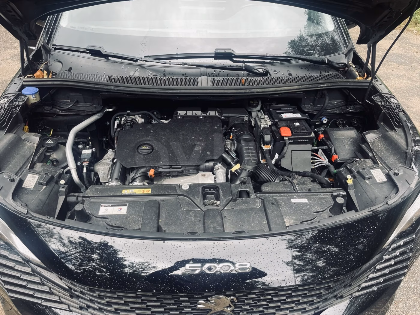 Peugeot 5008 фото 20