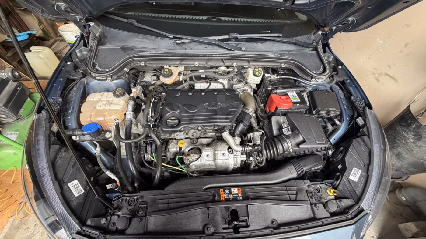 Ford Focus фото 6