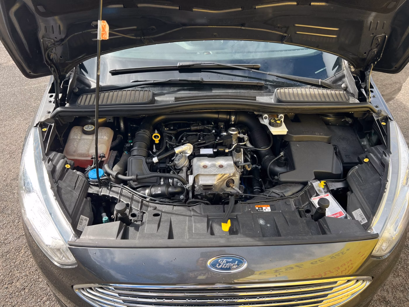 Ford C-MAX фото 19