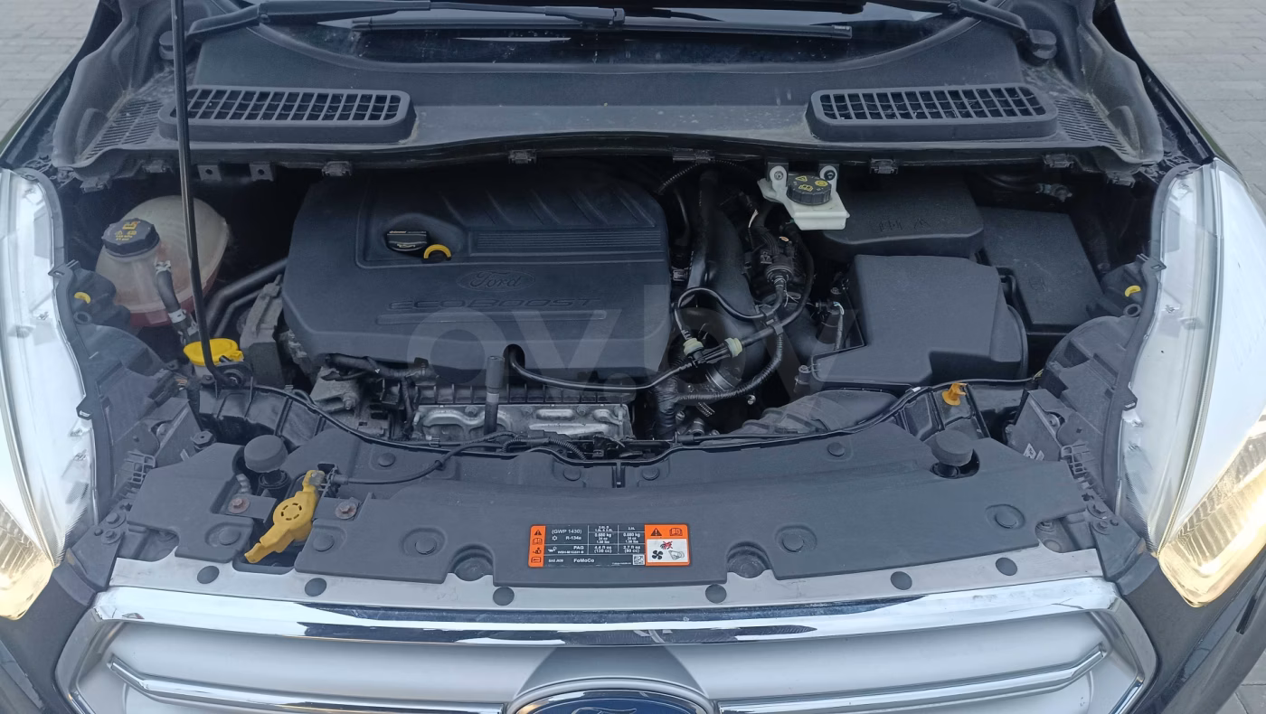 Ford Kuga фото 22