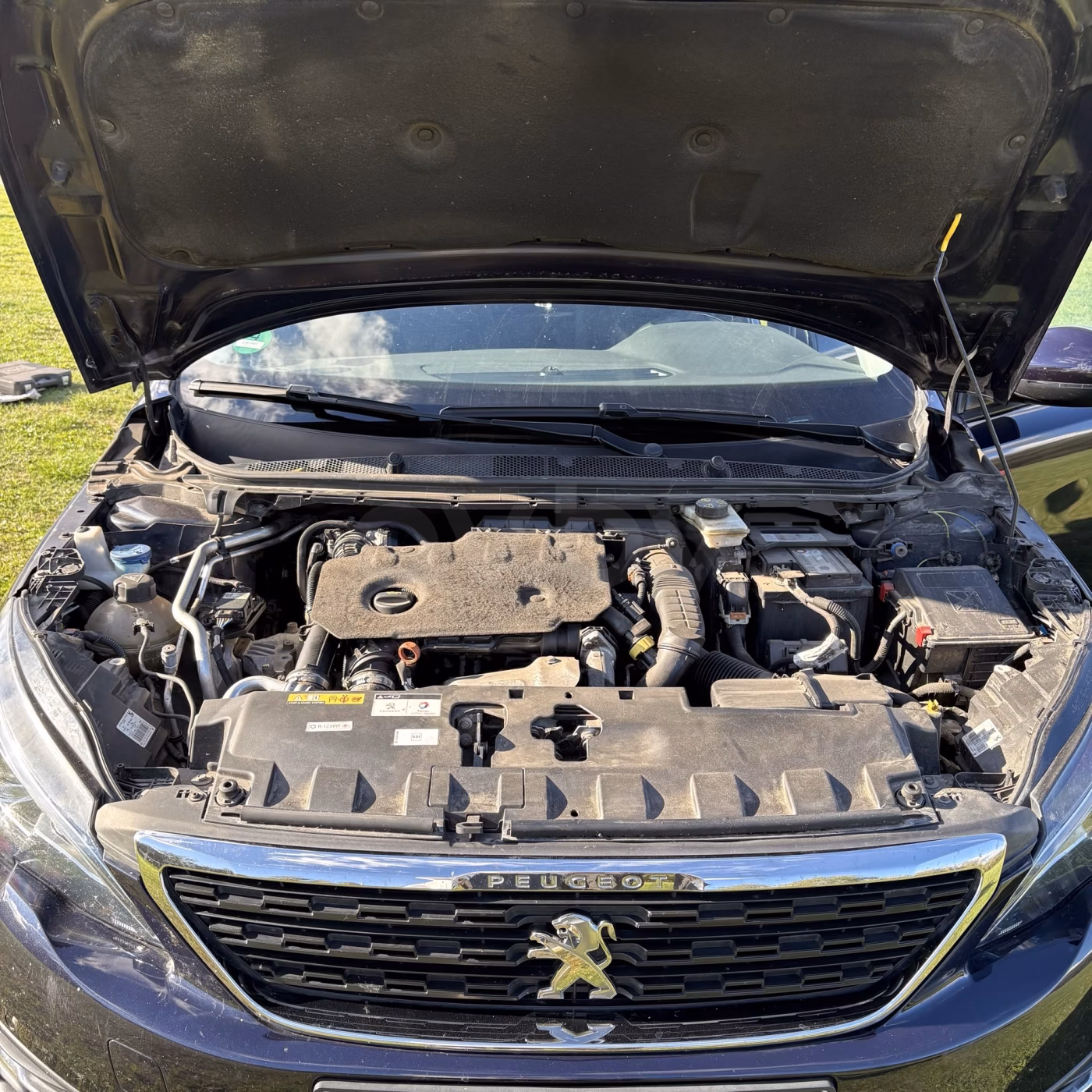 Peugeot 308 фото 13