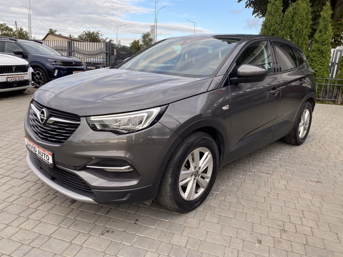 Opel Grandland X фото 3