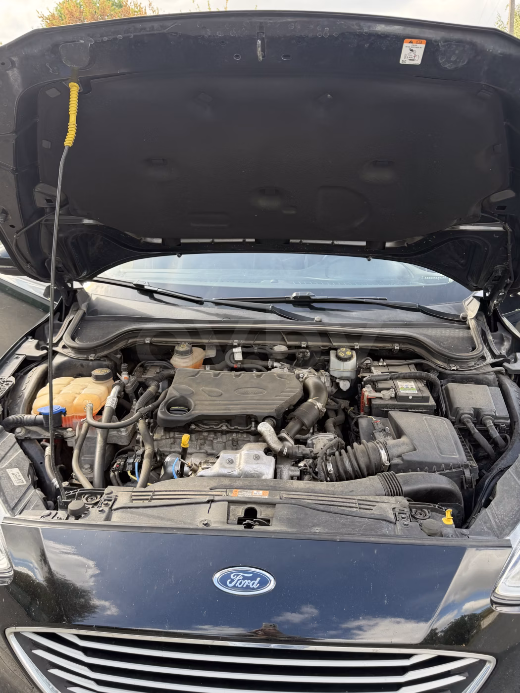 Ford Focus фото 10