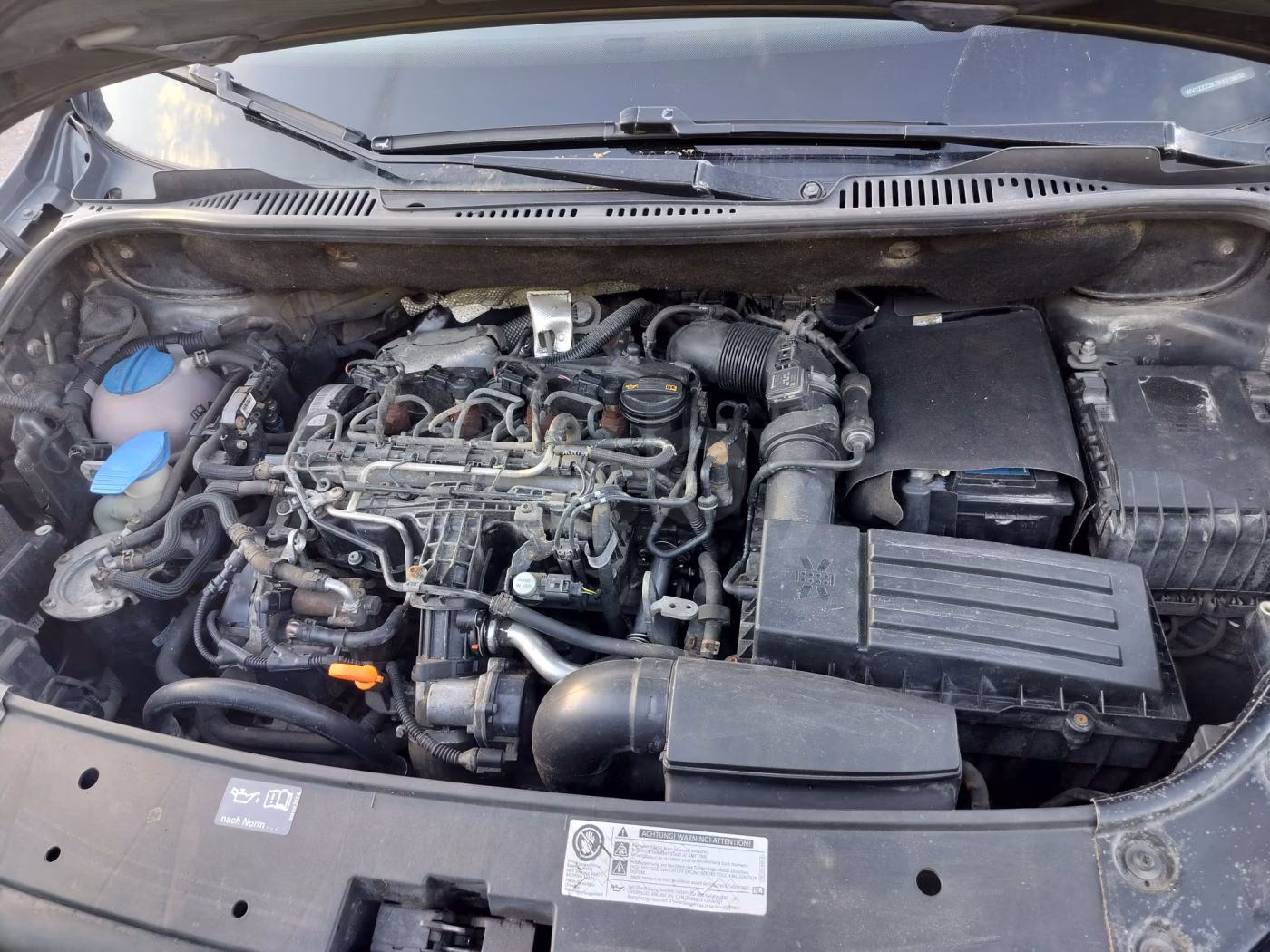 Volkswagen Caddy MAXI фото 6