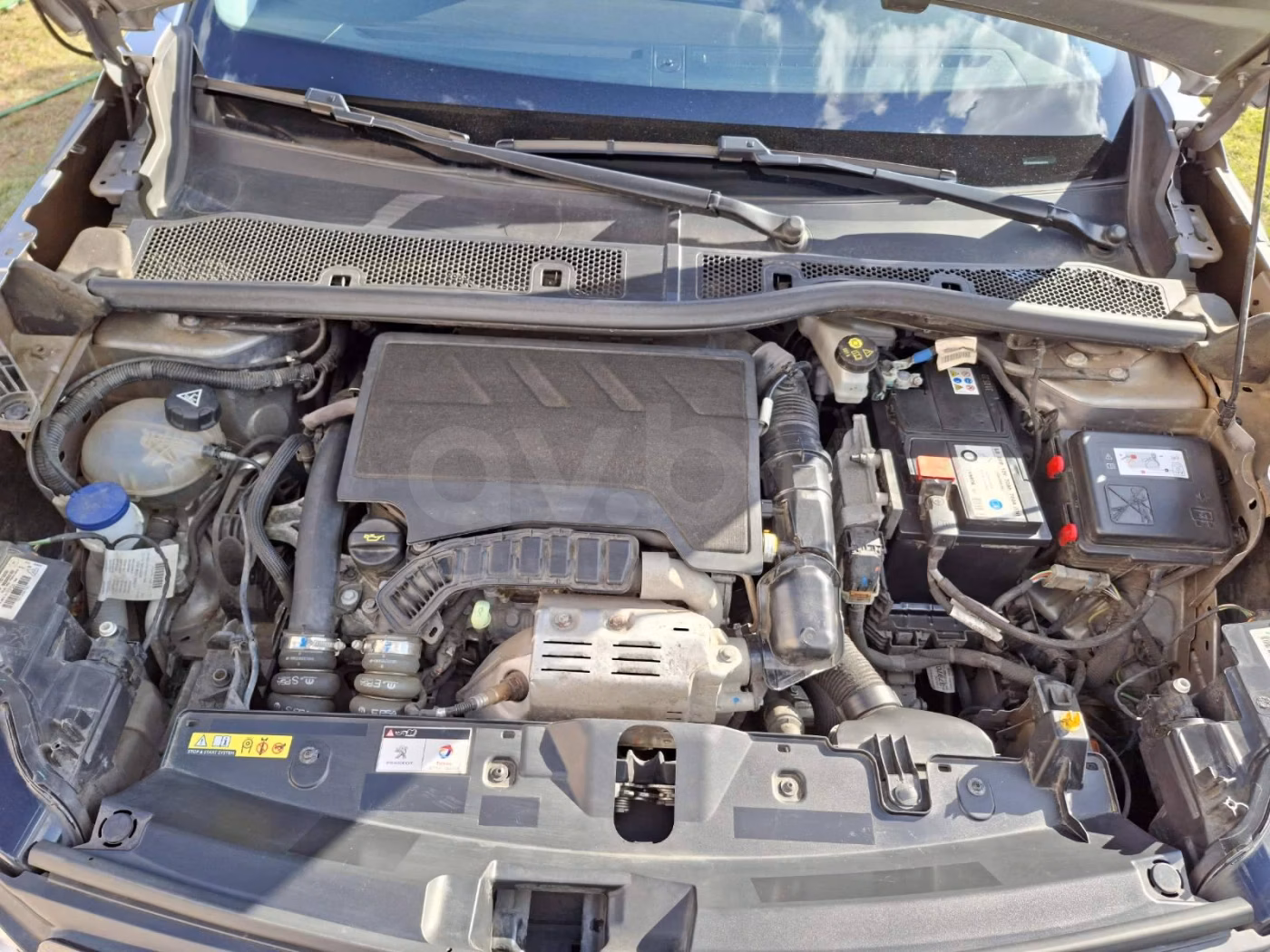 Peugeot 2008 фото 6