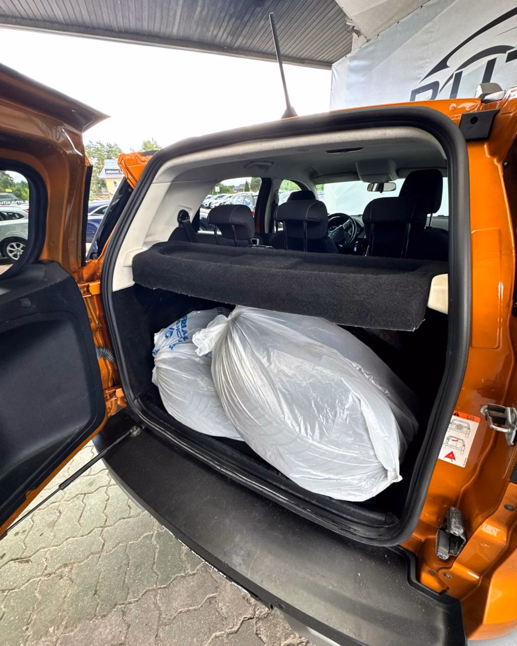 Ford EcoSport фото 13