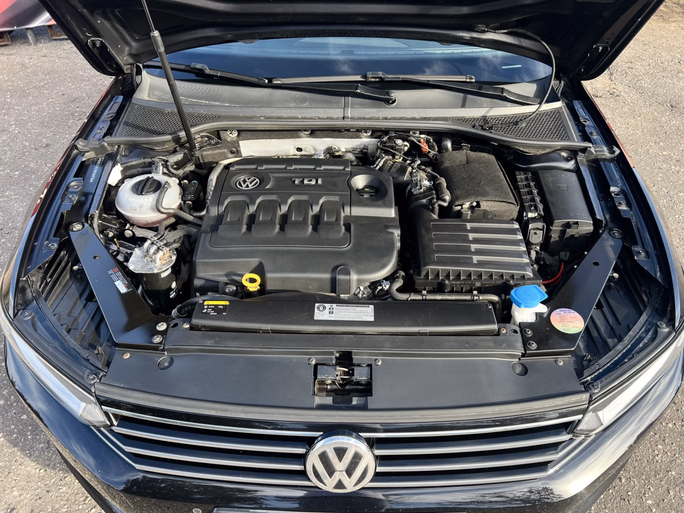 Volkswagen Passat фото 14