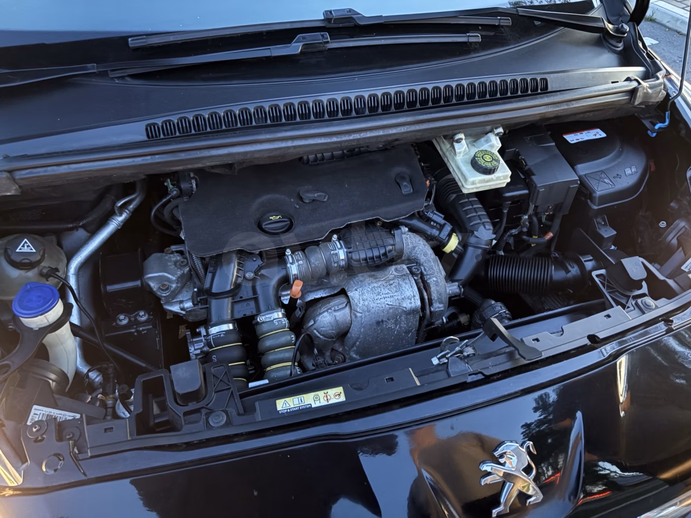 Peugeot 5008 фото 12