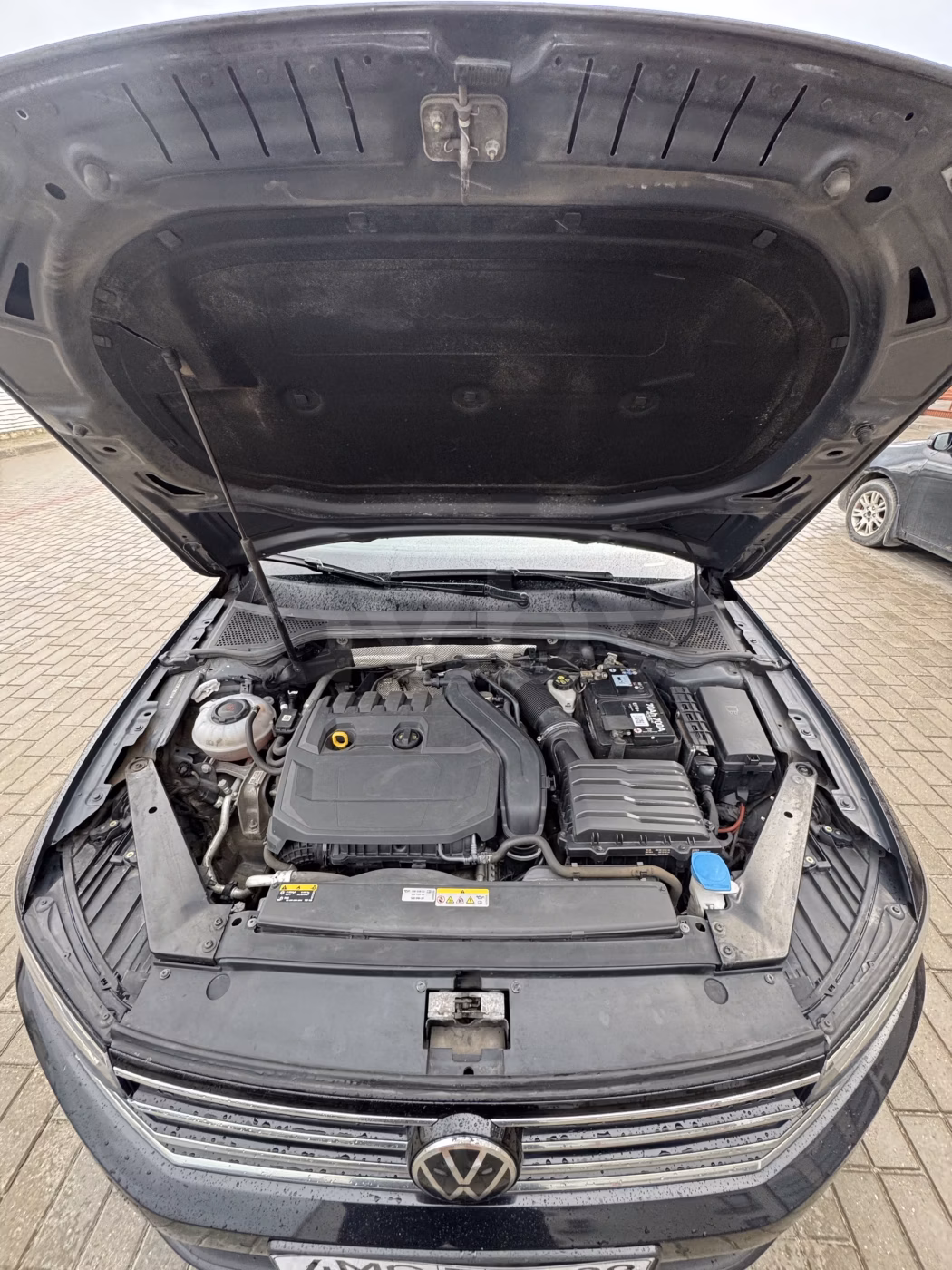 Volkswagen Passat фото 21