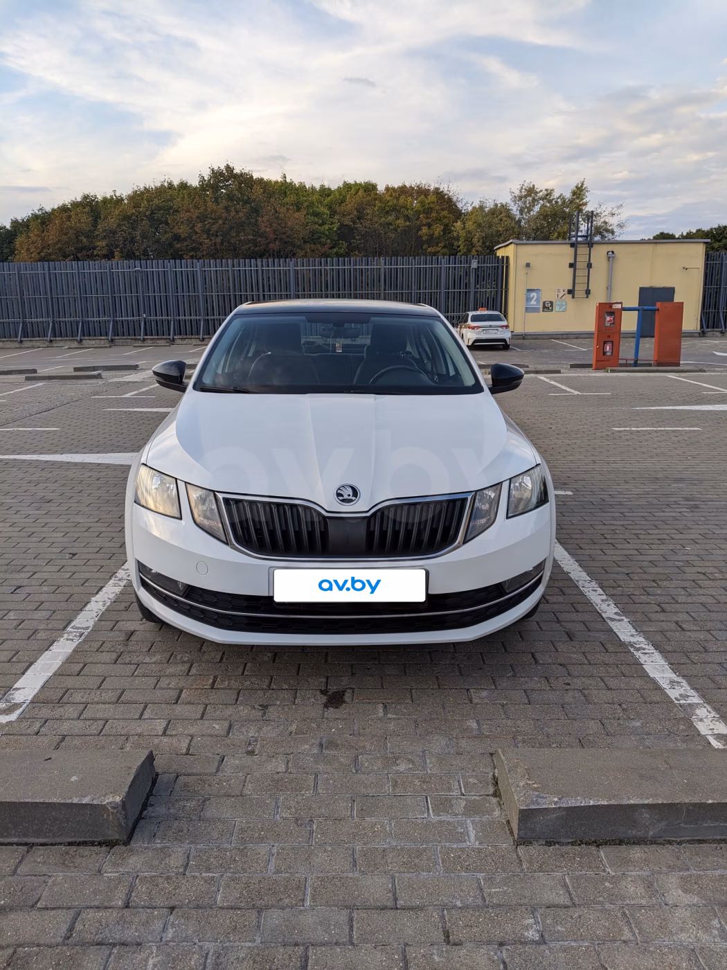 Skoda Octavia фото 3
