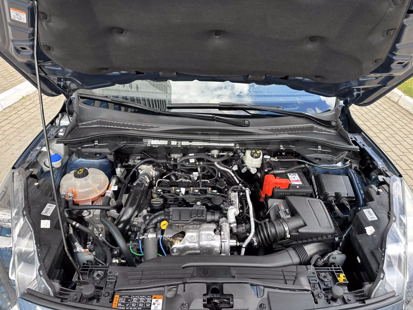 Ford Kuga фото 30