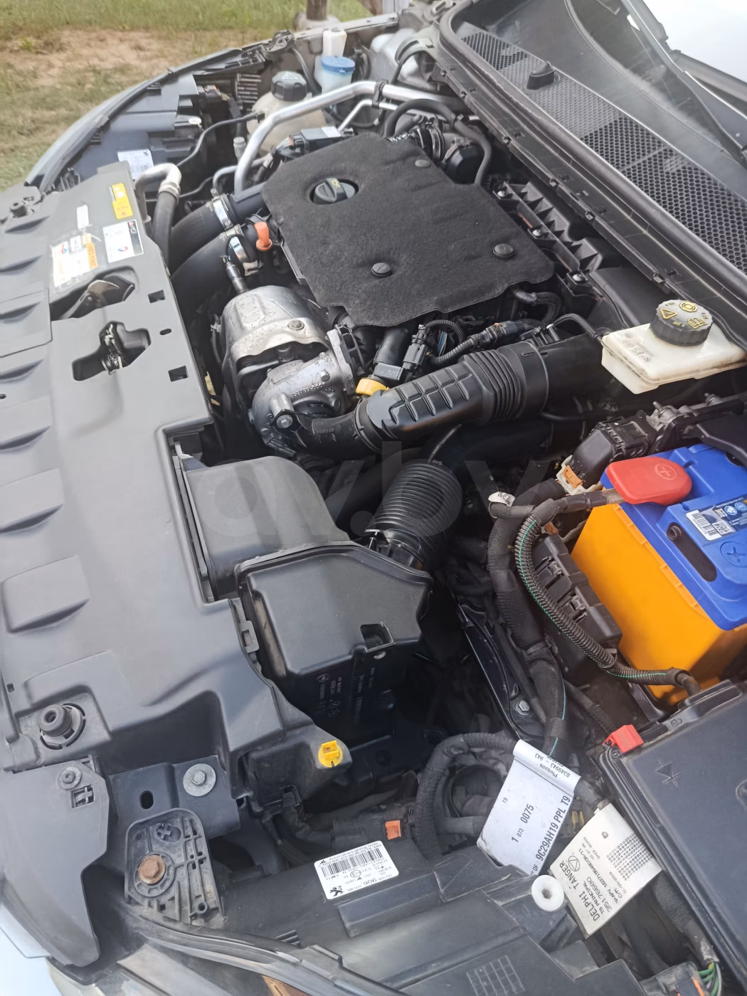 Peugeot 308 фото 22