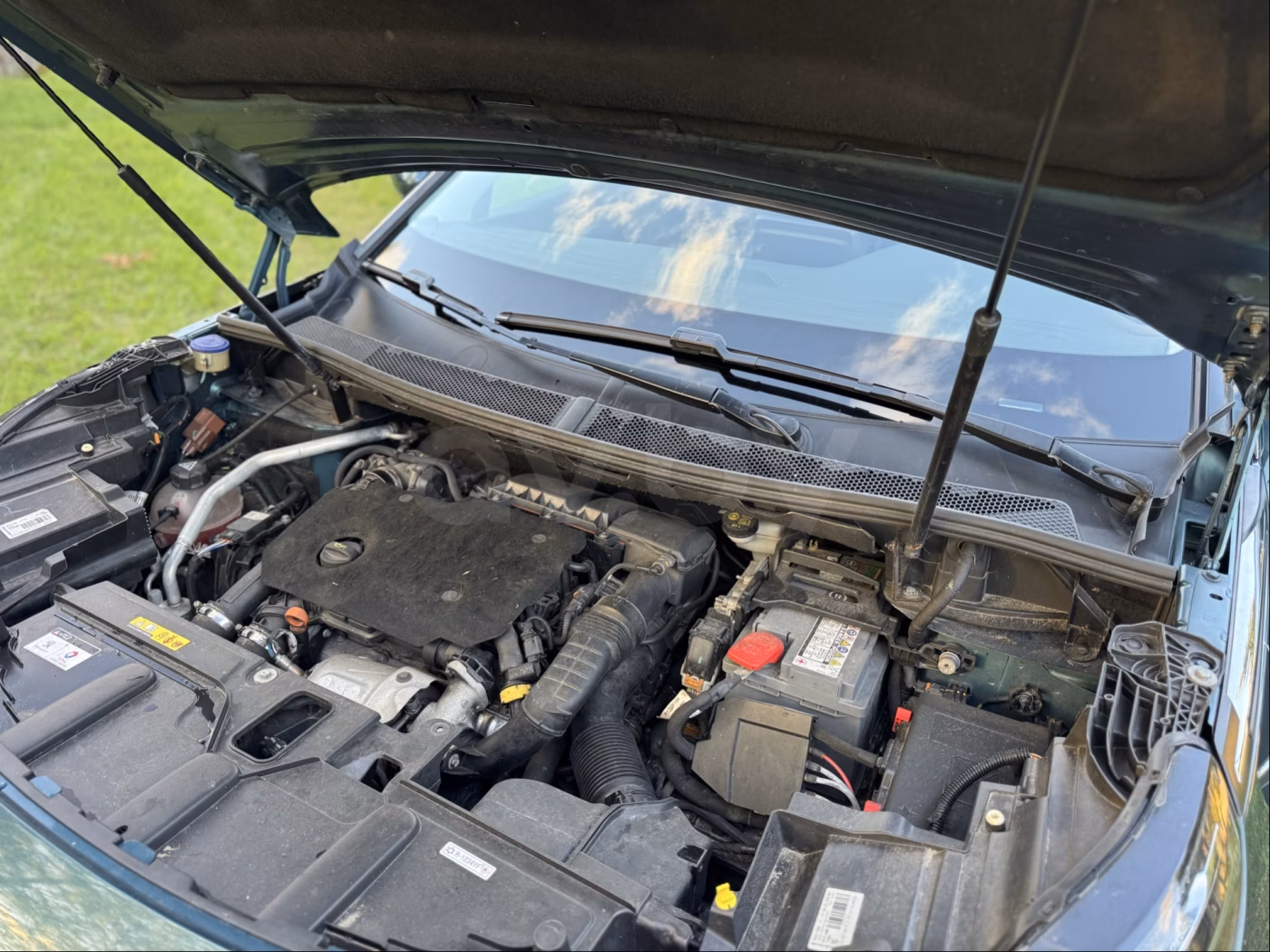 Peugeot 5008 фото 9