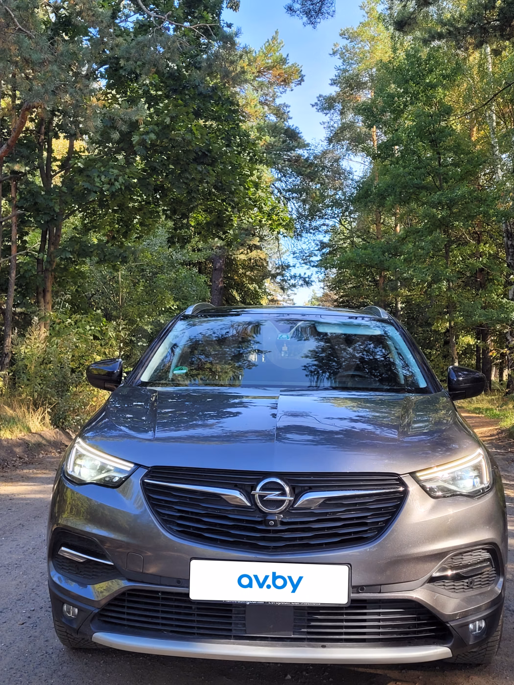 Opel Grandland X фото 4