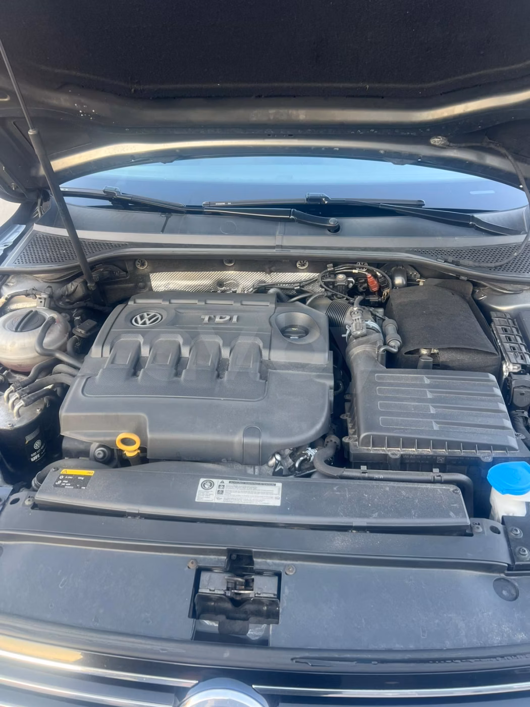 Volkswagen Passat фото 14