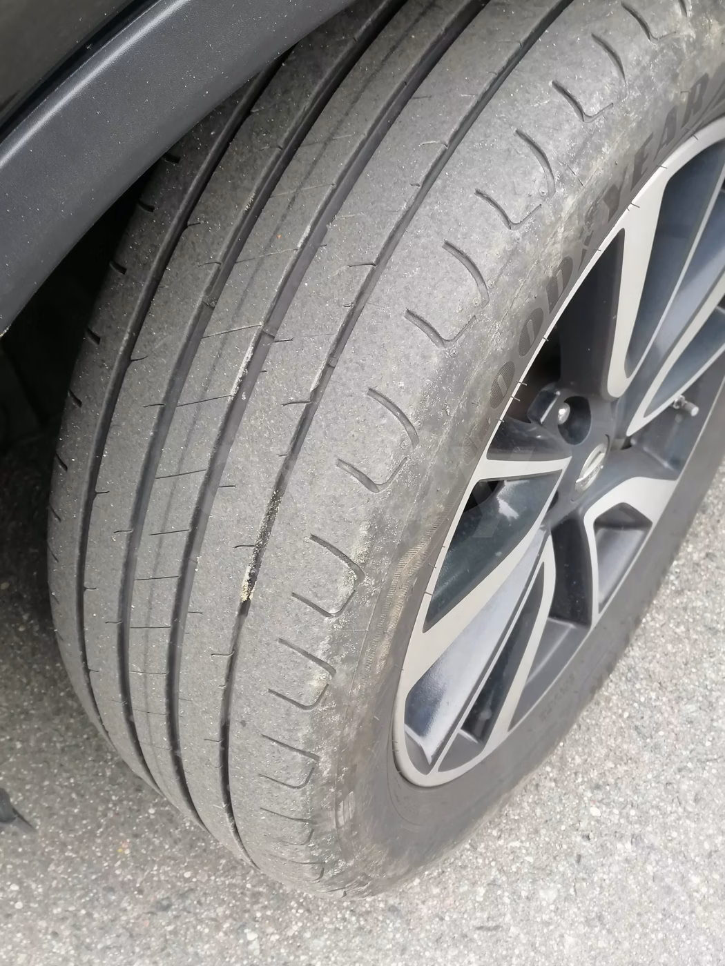 Nissan X-Trail фото 16