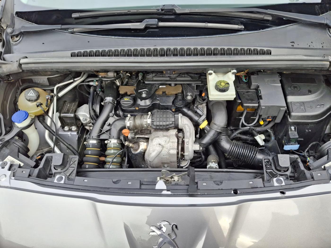 Peugeot 5008 фото 16