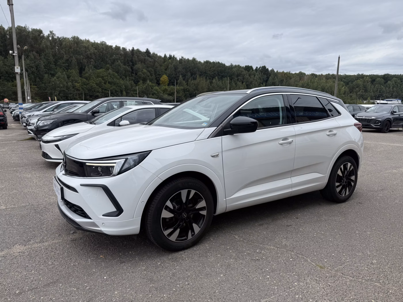 Opel Grandland X фото 2