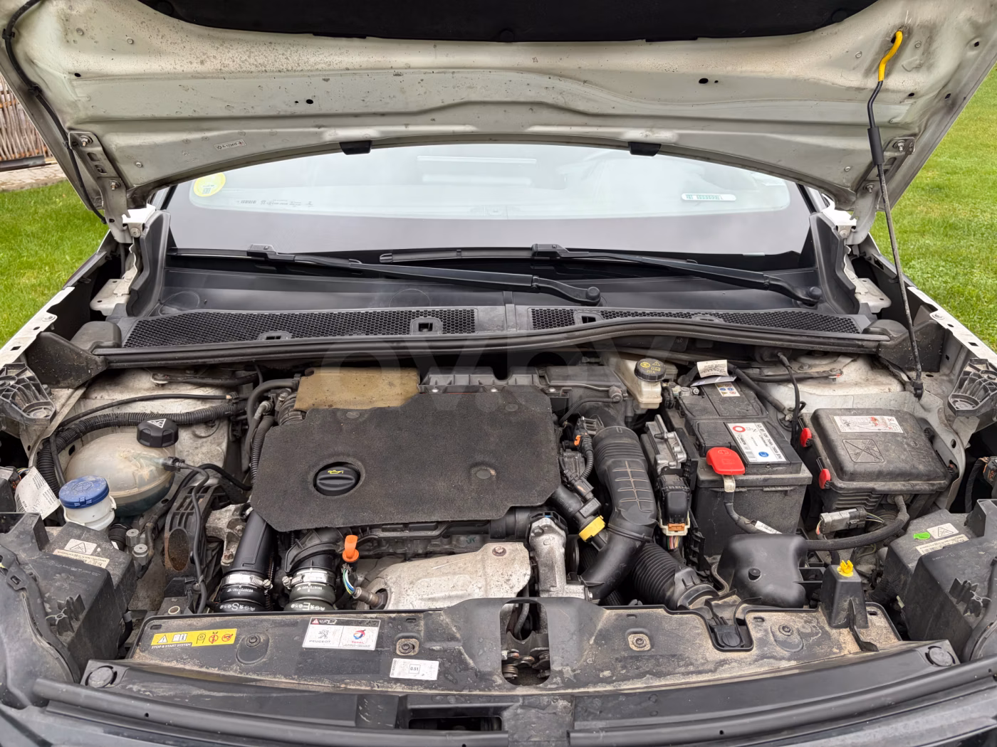 Peugeot 2008 фото 19