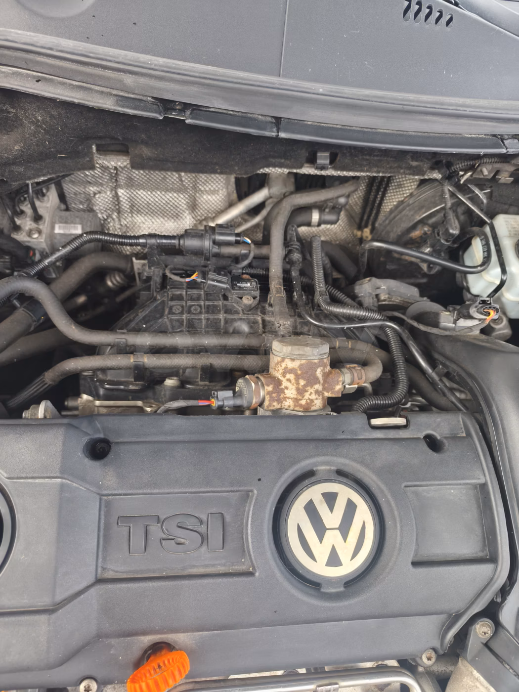 Volkswagen Passat фото 4