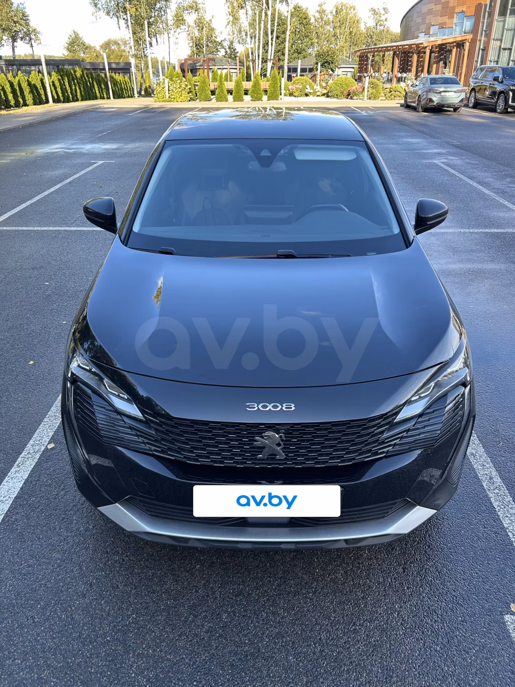 Peugeot 3008 фото 9