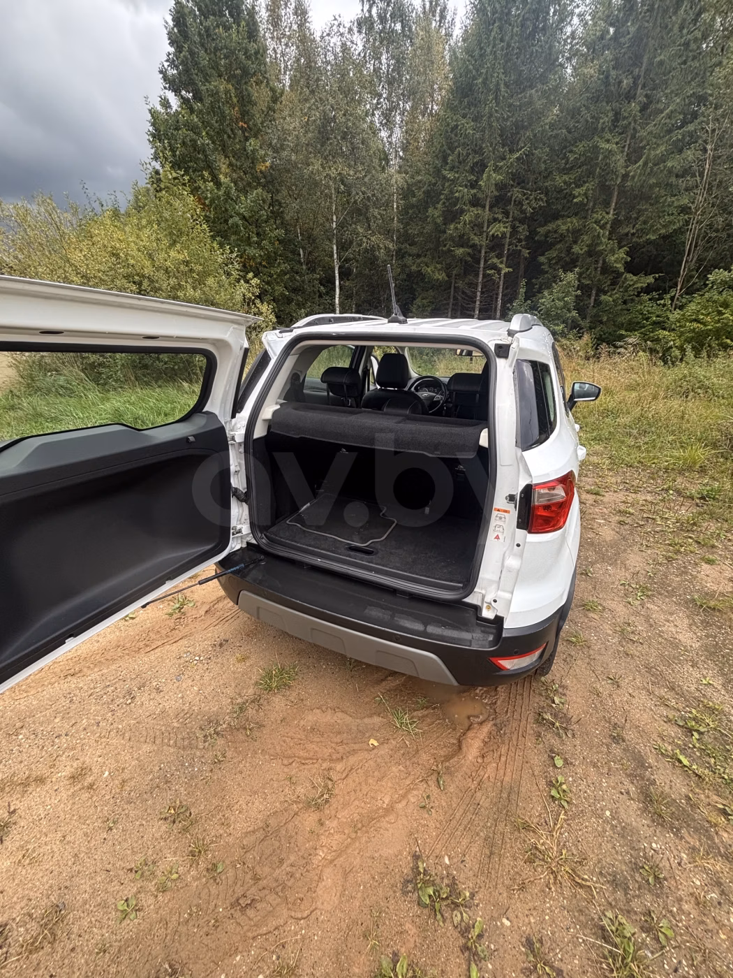 Ford EcoSport фото 8