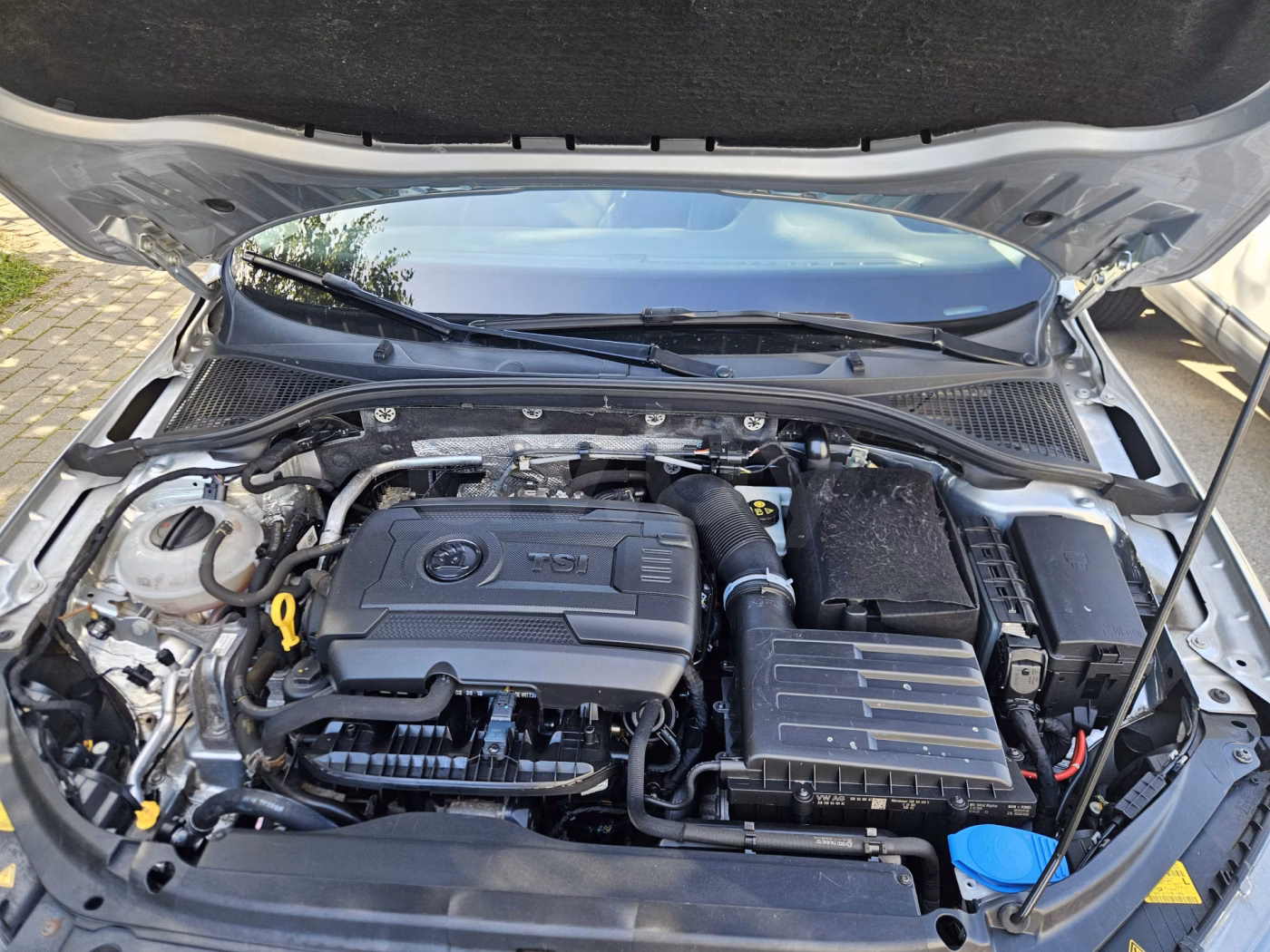 Skoda Octavia фото 18