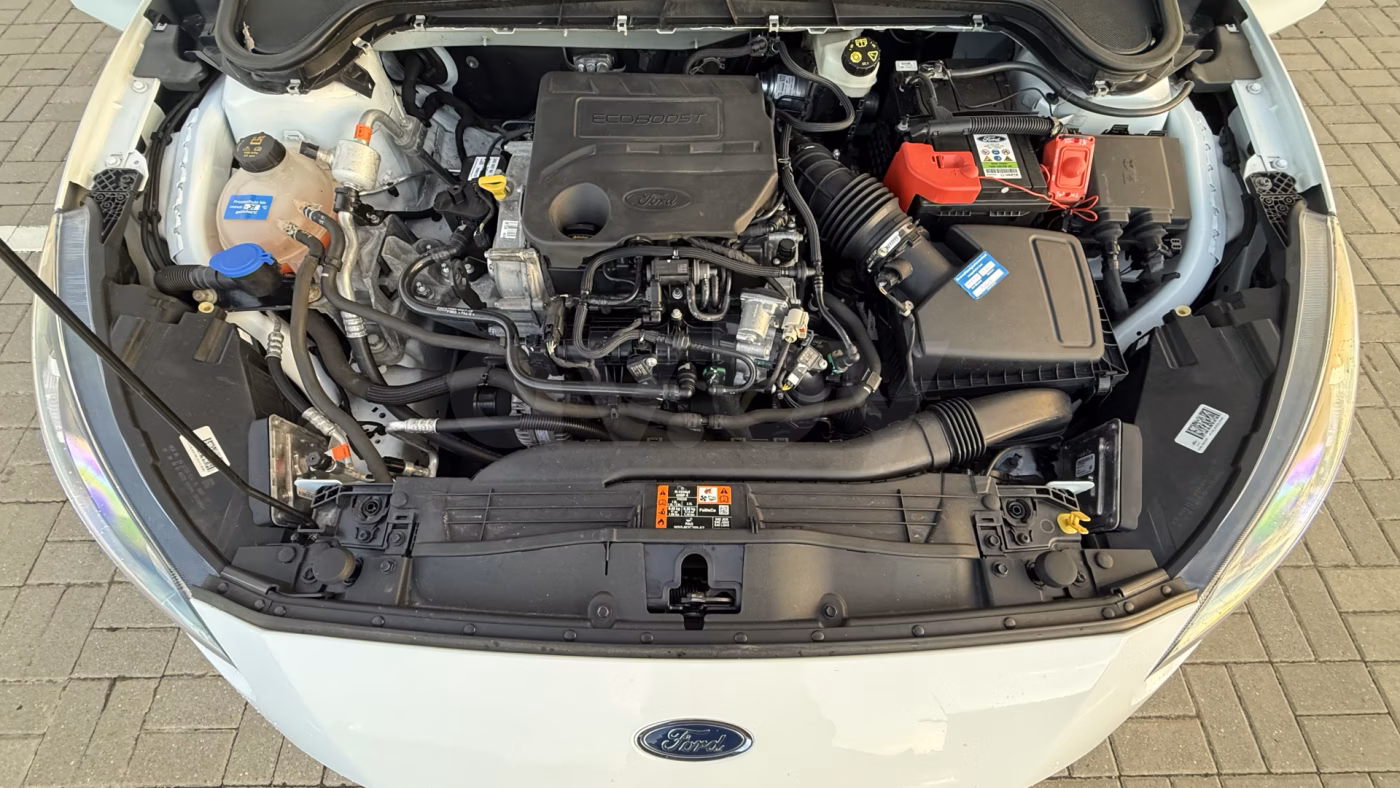 Ford Focus фото 16