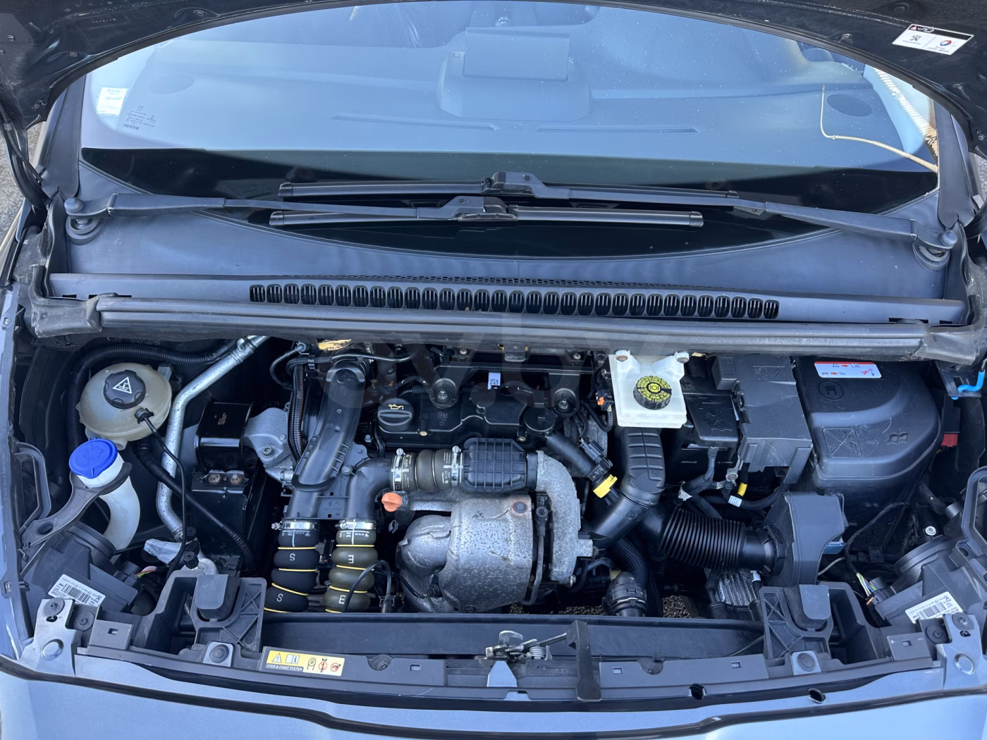 Peugeot 5008 фото 21