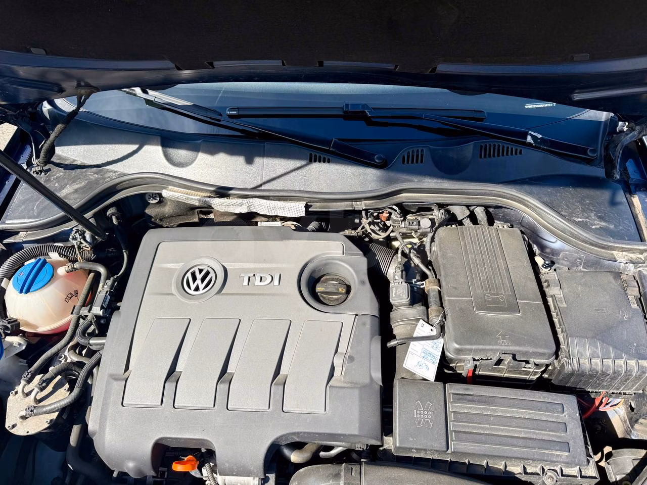 Volkswagen Passat фото 19