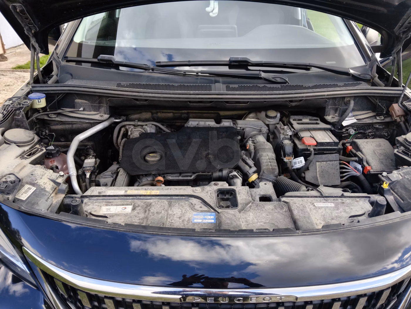 Peugeot 3008 фото 17