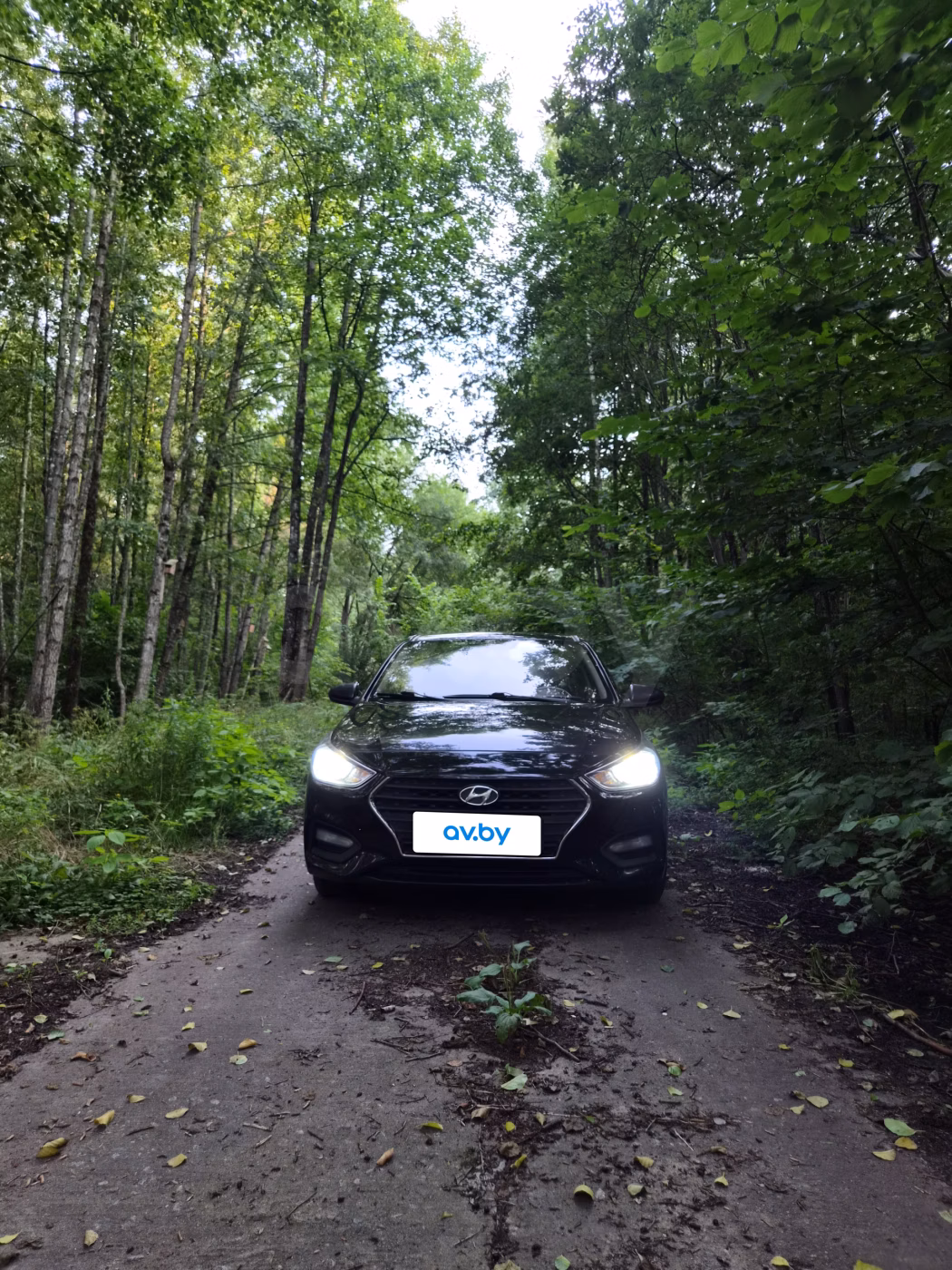 Hyundai Accent фото 19