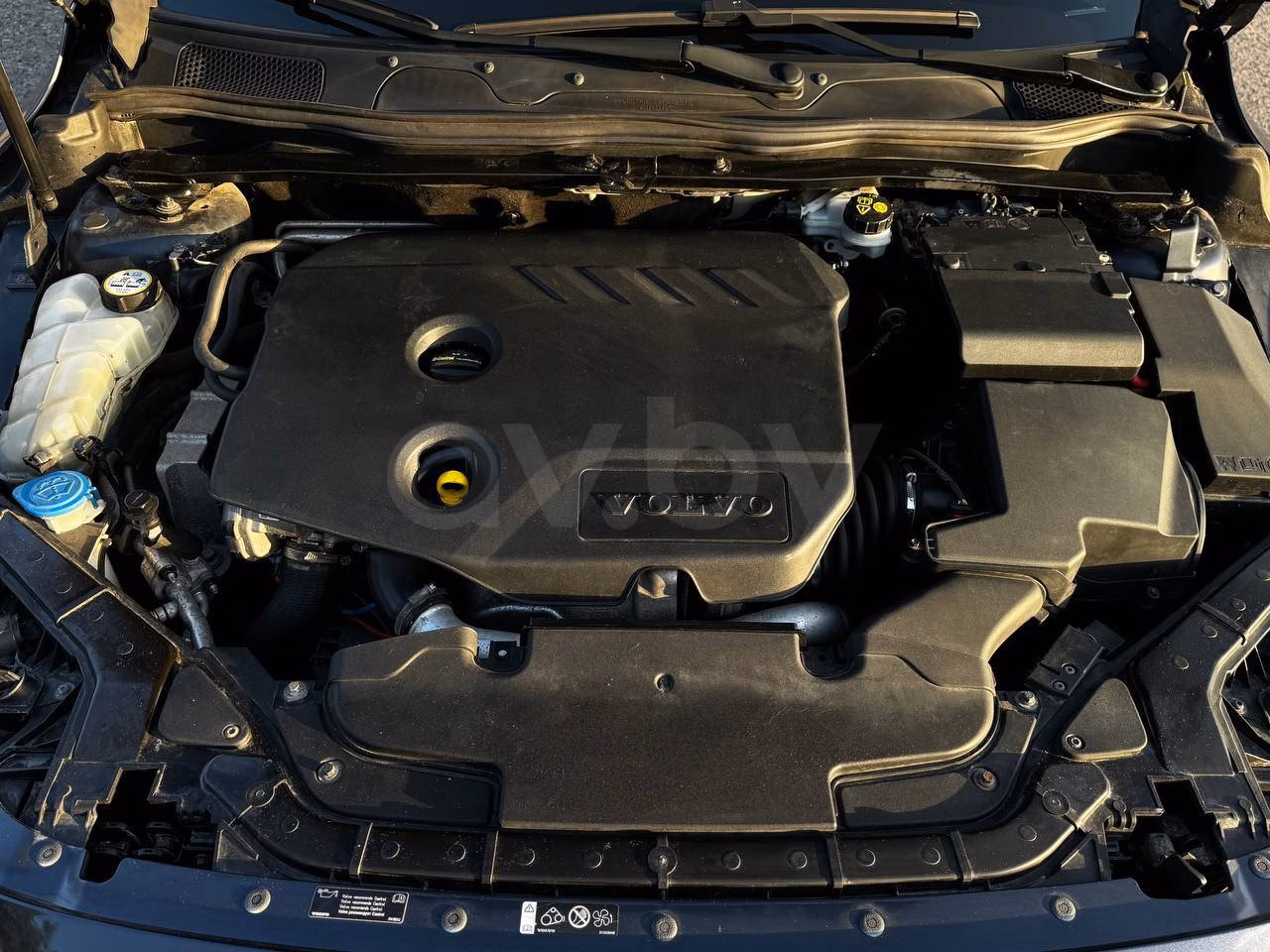 Volvo V40 Cross Country фото 20