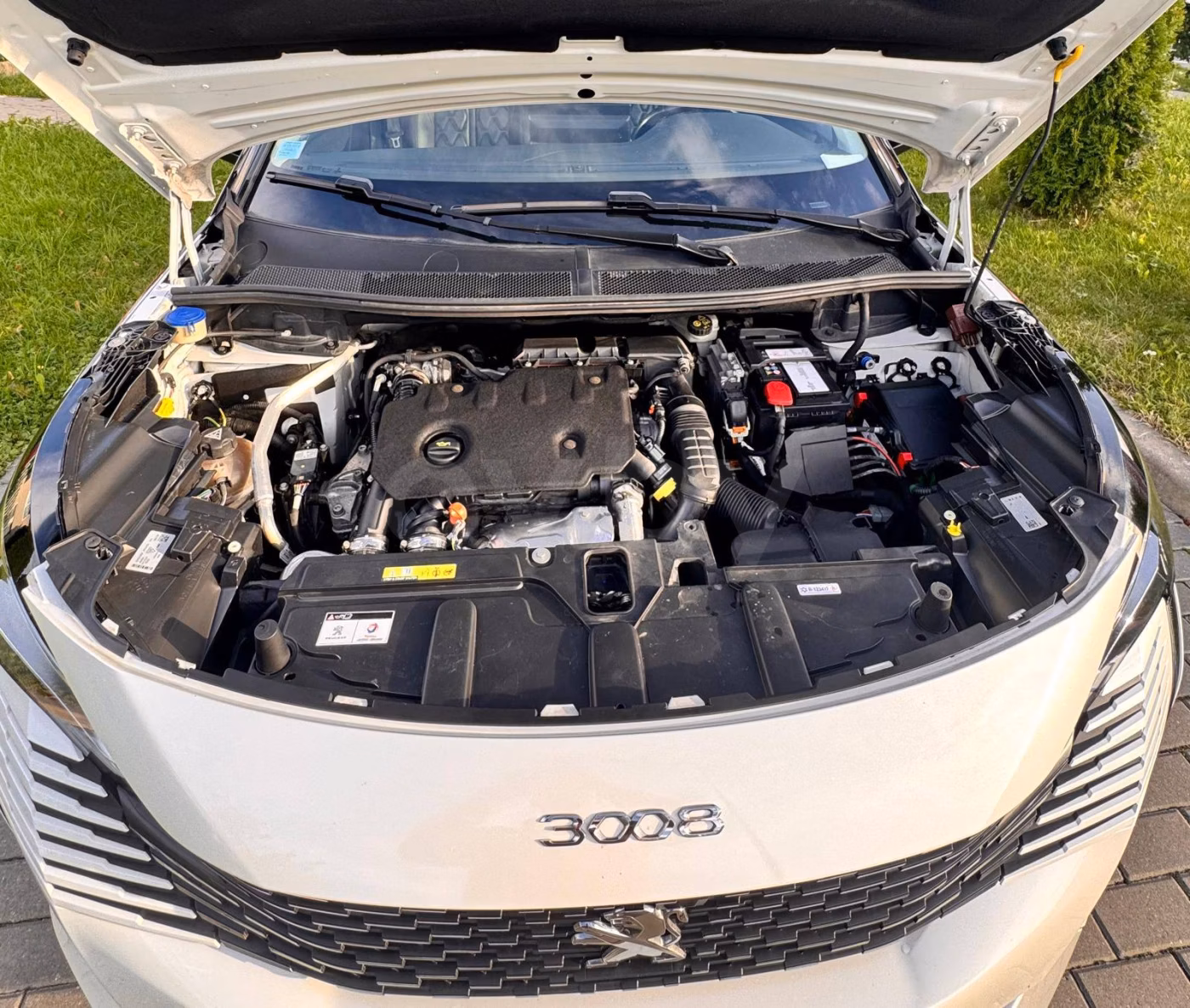Peugeot 3008 фото 13