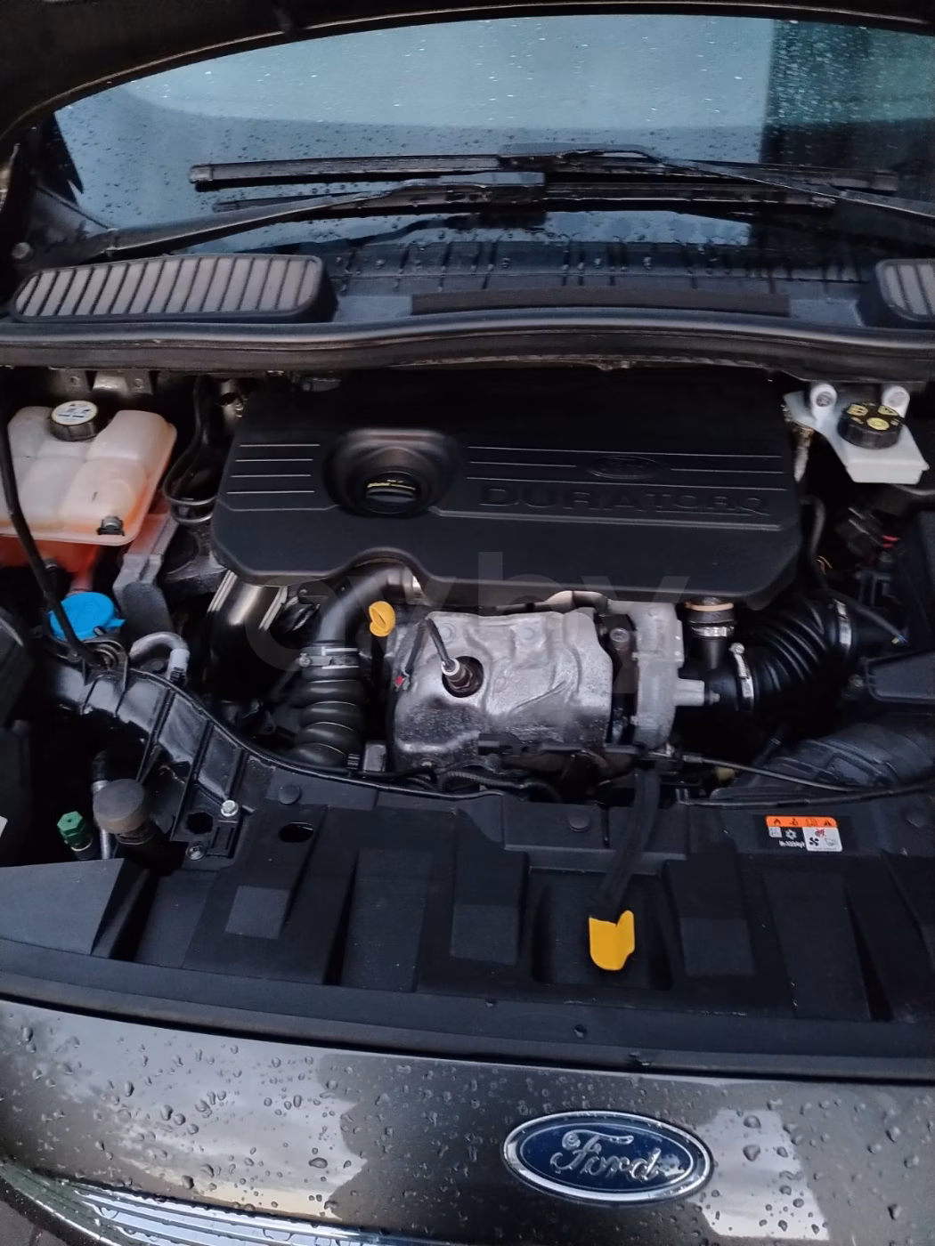 Ford C-MAX фото 10
